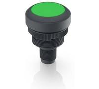 RAFI 1.10.071.001/0551 Voyant lumineux vert 1 pc(s)