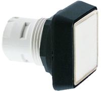 RAFI 1.30.070.501/0000 RAFIX 16 1.30.070.501/0000 Bouton-poussoir incolore, transparent 10 pc(s)