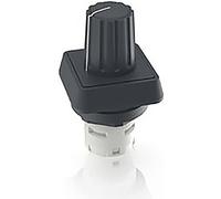 RAFI 1.30.077.001/0000 RAFIX 16 Bouton porte-potentiomètre 1 pc(s)