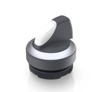RAFI 1.30.272.027/2200 RAFIX 22 FS+ Bouton-poussoir lumineux à rappel 2 x 40 ° 1 pc(s)