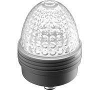 RAFI 1.69.010.005/0000 Voyant lumineux incolore 1 pc(s)