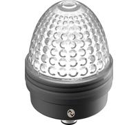 RAFI 1.69.010.101/1000 Voyant lumineux incolore 1 pc(s)