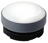 RAFI 22FS+ 1.74.508.001/2200 Indicateur lumineux plat blanc 1 pc(s)