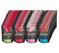 RAFI pour chiens, mélange de saveurs, 40 x 300 g