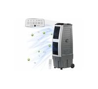 Rafraîchisseur d'air à évaporation ''lw-650''