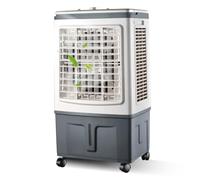 RafraîChisseur D'Air Climatiseur éVaporatif, 3 Vitesses, RéServoir D'Eau De 30 L, 2 Blocs RéFrigéRants, Oscillation à 120°, Climatiseur Mobile pour La Maison Et Le Bureau