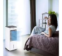 Rafraîchisseur d'air - HD4K - DOM473 - 3en1 - 80W - Réservoir 4L - Design contemporain