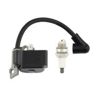 RAGDAA Bobine d'allumage for Stihl FS38 FS45 FS55 FC55 HL45 HS45 KM55 1306A débroussailleuse 4140 400 1308 Tondeuse à Gazon débroussailleuse Outil de Jardin