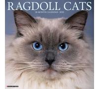 Ragdoll Cats 2026 12 X 12 Wall Calendar