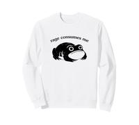 Rage Consumes Me Funny Frog Unhinged Silly Graphic Sweatshirt