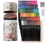 RAGI Ensemble de crayons de couleur 123 pièces Crayons de couleur 120 couleurs à noyau souple Peinture, dessin, coloriage pour adultes Crayons de couleur dans un tube en carton