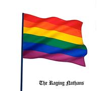 Frank Virtue & the Virtues - Guitar Boogie Shuffle [Import]