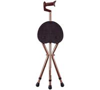 RAGOPILEN Chaise Pliante, Chaise Canne Multicolore 27 x (80-90) cm(Brown Color)