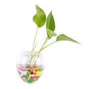 Raguso Conteneur hydroponique Jardinière en Verre Plantes en Verre Vase Tenture Murale Vase en Verre Conteneur de Plantation(Mouse Shape)