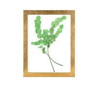 Rahmendesign24 Cadre photo à double vitre Milano 40x50 avec feuille d'or, cadre interchangeable, double vitre