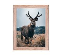 Rahmendesign24 Cadre photo Fiona 59,4x84 (DIN A1) Chêne Sonoma Cadre photo, Cadre interchangeable, Cadre photo