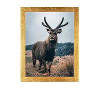 Rahmendesign24 Cadre pour poster Milano 40x80 Feuille d'or, Cadre photo doré, Cadre interchangeable, Cadre photo, Cadre pour puzzle