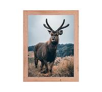 Rahmendesign24 Cadre pour poster Milano 60x60 Chêne naturel Cadre photo, cadre interchangeable, cadre photo, cadre pour puzzle