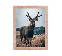 Rahmendesign24 Cadre pour poster Milano 70x100 chêne Sonoma, cadre photo, cadre interchangeable, cadre photo, cadre pour puzzle