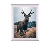 Rahmendesign24 Fiona Cadre photo amovible en aluminium brossé 42 x 59,4 cm (DIN A2)