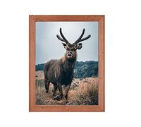 Rahmendesign24 Rio Cadre photo amovible en chêne naturel 50 x 70 cm