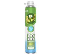 Raid Essentials Spray Aerosol - Répulsif Moustiques pour Maison - Jusqu’à 4 Heures d'Efficacité - 1 Aérosol, 300ml