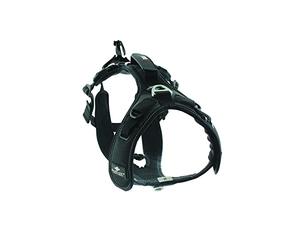 RaidLight I-Dog Canitrail Harnais, Homme, 200 Noir, XL