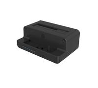 Raidsonic | Station d'accueil HDD / SSD | 2,5" / 3,5" partagé | M.2 | SATA 6Gb/s