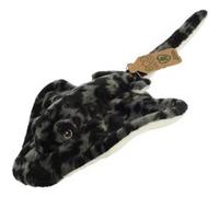 Raie Grise 30 Cm
