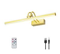 RAIFOOLLY Lampe d'image, 50,8 cm, alimentée par piles, télécommande en métal, lumière artificielle avec minuterie et intensité variable pour peinture murale, cadre, portrait, cible de fléchettes (doré