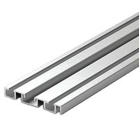 Rail bas 65 pour profil P300 anodisé agent 2,55 m SEED GAMMISTE RB65SA25