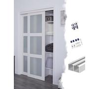 Rail Porte Coulissante Kit de Quincaillerie pour Porte Douche en Verre Coulissante, Rail à Poussoir Intérieur Double, Système Fermeture Amortie Minimaliste pour Fenêtre(Silver,5.1ft/155cm)