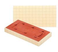 Raimondi - Eponge Rechange 17 x 34 x 4 cm rapide/ou SWEEPEX avec cour