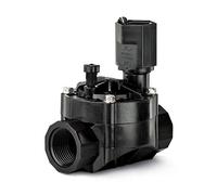 Rain Bird 100 HV 1' (femelle x femelle)