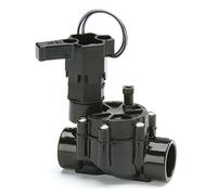 Rain Bird DV Series Valve électrique avec Slip et X Slip Joint, 2,5 cm/24 Vac