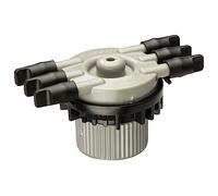 Rain Bird MANIFRE6S Collecteur d'irrigation goutte à goutte 6 ports débit libre non régulé