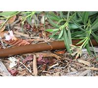 Rain Bird Tuyau goutte-à-goutte Dripline XFD 16 mm, 33 cm - Régulation de pression + autonettoyant, 2,3 l/h - Couleur marron foncé