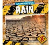 Rain by William Anthony William Anthony (Auteur)