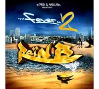 Raï'n'b fever 2
