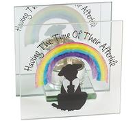 Rainbow Bridge Friends 2361 Photophore en Verre en Forme de Chien