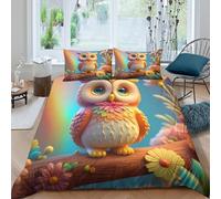 Rainbow hibou cute Ensemble De Literie 3D Effet Microfibre 3 Pièces Hypoallergique Cartoon whimsical style Parure de Lit avec Taie d'oreiller Super Douce for Chambre de garçons King（220x240cm）
