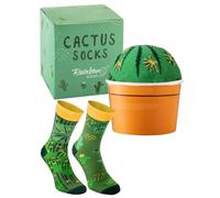 Rainbow Socks - Cactus dans le pot - chaussettes vertes, cactus pour femmes et hommes - un cadeau drôle pour les amateurs de cactus - Taille 41-46