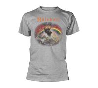 Rainbow - T-shirt RISING - Adulte (PH2429)