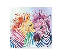 Rainbow Zebras
