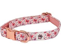 Rainbows and Butterflies - Collier pour Chien - Taille M