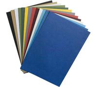 Rainex 565 BL 100 Couvertures A4 250 g Blanc