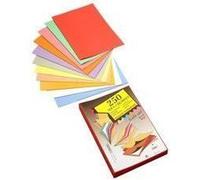 Rainex 61 RS 250 Sous-chemises 60 g 22 x 31 cm …