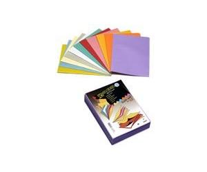 Rainex 61 RS 250 Sous-chemises 60 g 22 x 31 cm Rose