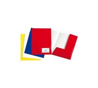 Rainex - Chemise 2 Rabats Chromolux 32x24 Blanc - Paquet De 20