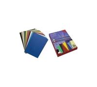 Rainex reliure leathergrain, format a4, 250 g m ² (différents coloris) 565 as
